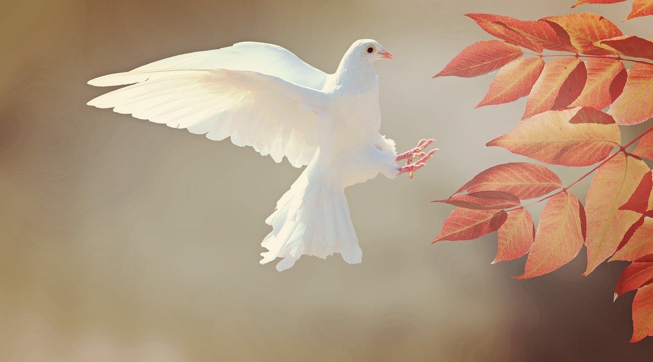 Is the Holy Spirit Feminine? A Biblical Perspective — image 1