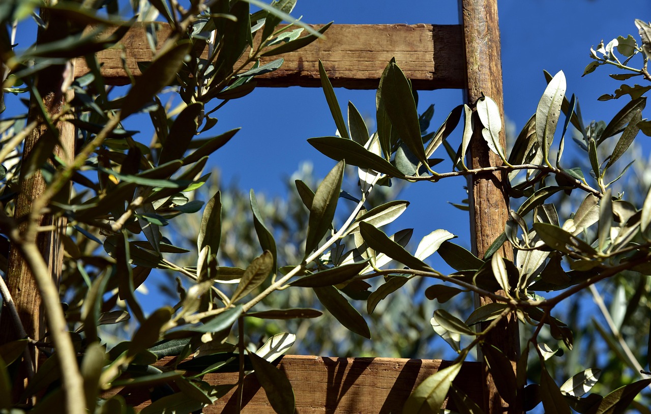 Mary Magdalene and Jesus: What Was Their Relationship? — image 1