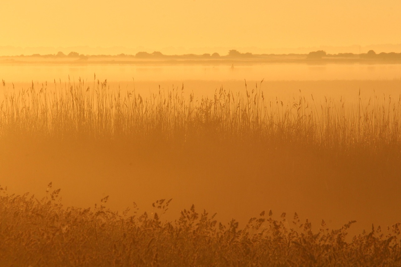 Who Was Mary Magdalene in the Bible? (Her True Role Explained) — image 1