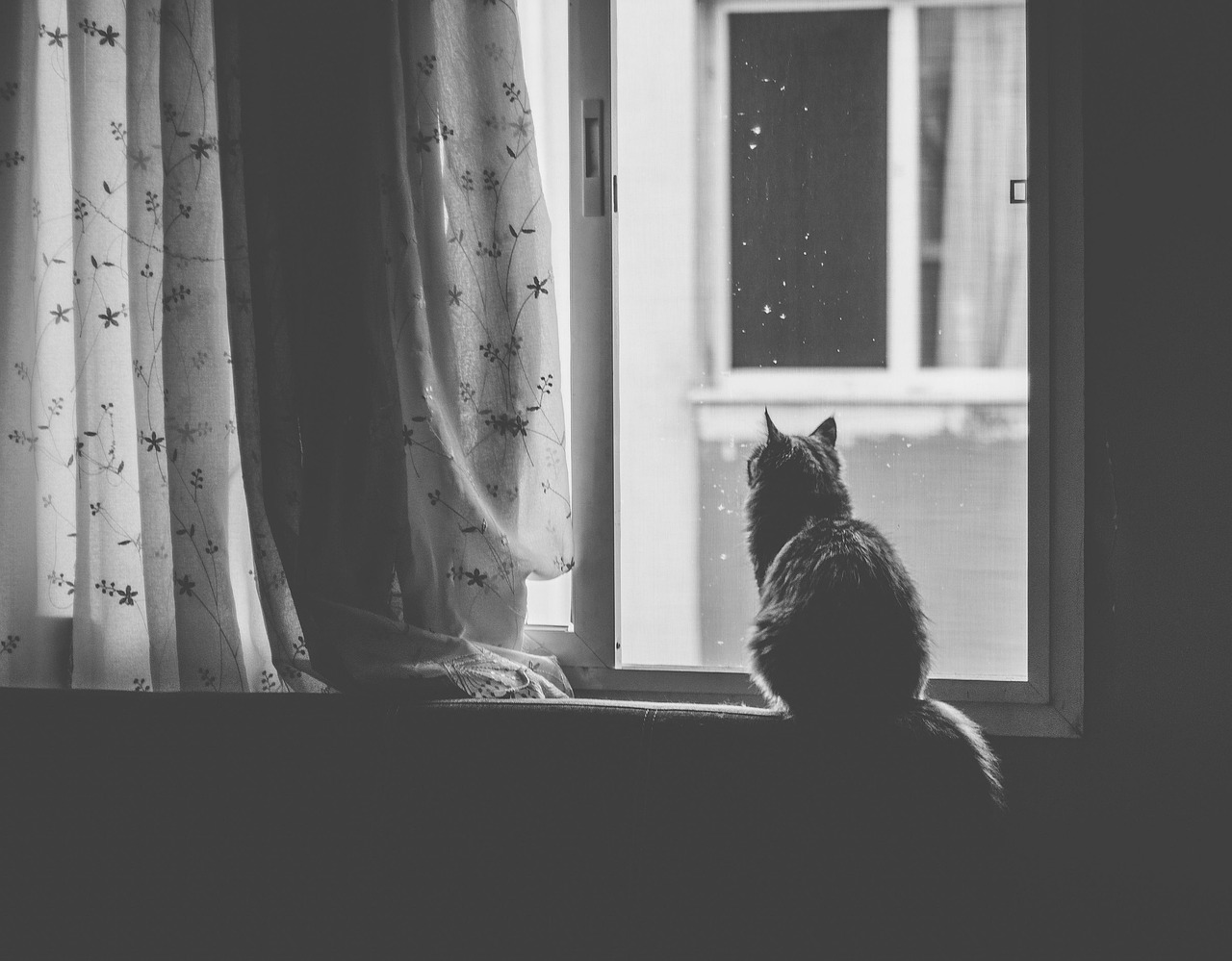 Why Do I Feel Far From God? (And How to Reconnect) — image 3